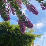 酒店 Garni Onda 2*