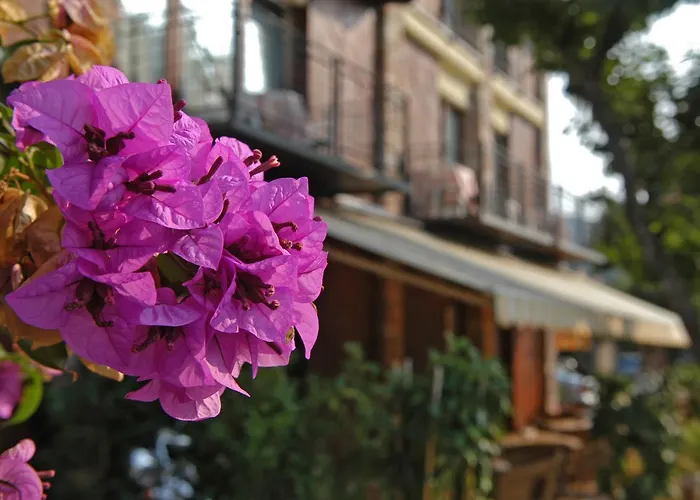 Garni Onda 酒店 托里德尔贝纳科