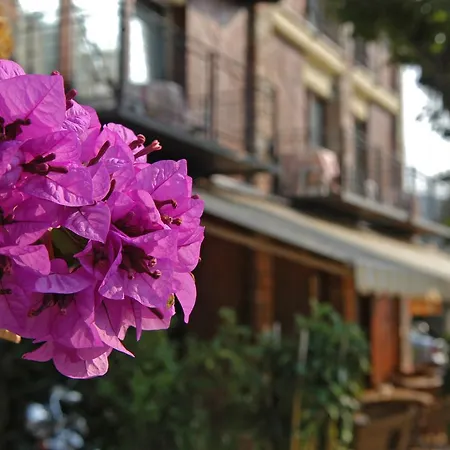 Garni Onda Hotel Torri Del Benaco